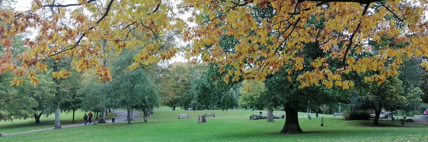 Evan Troendle banner