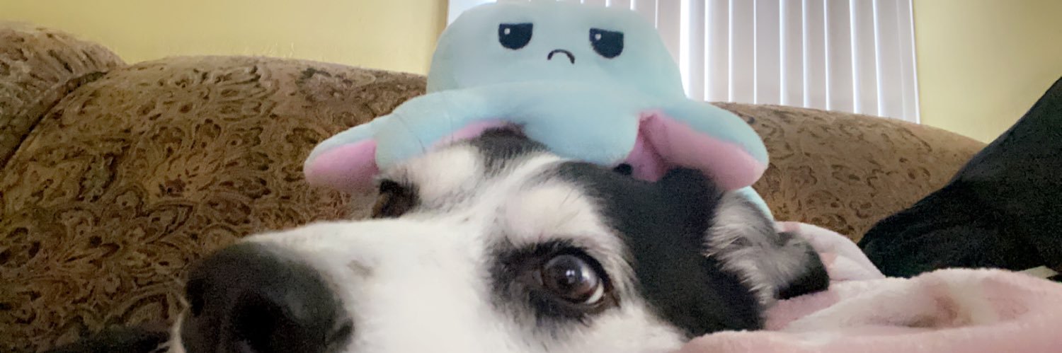 Dimples19_'s profile banner image
