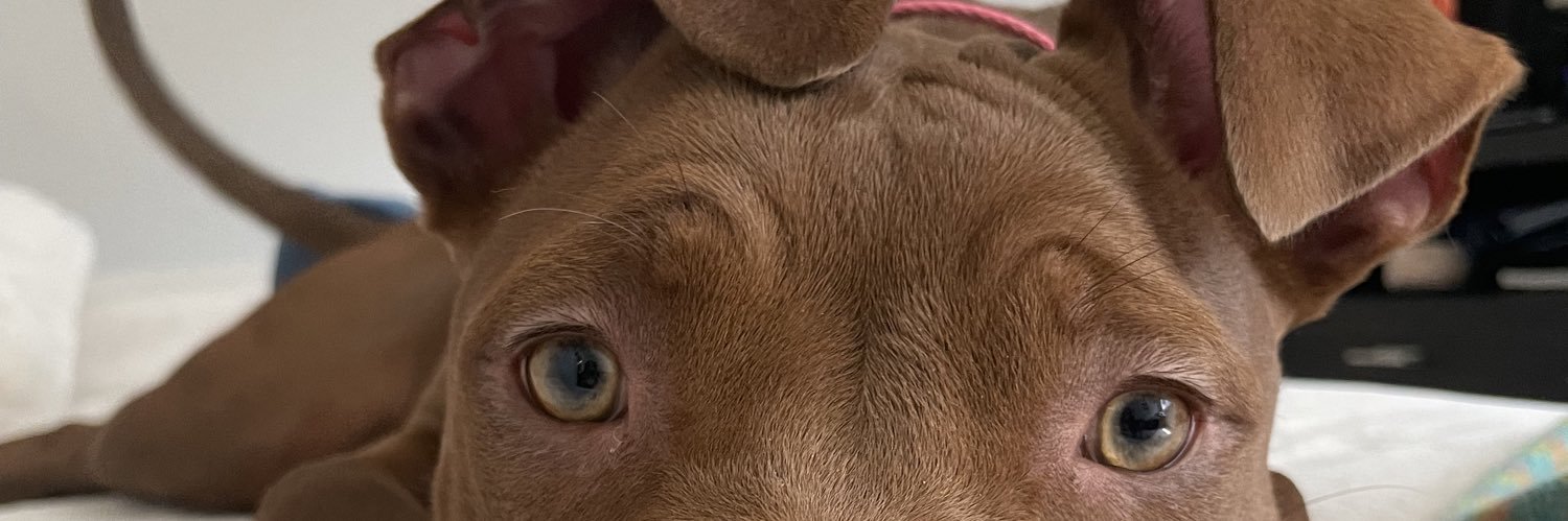 Kevinmoreno___'s profile banner image