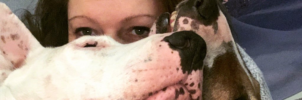 MsJennillaBean's profile banner image