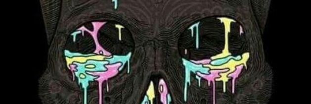 BNores's profile banner image