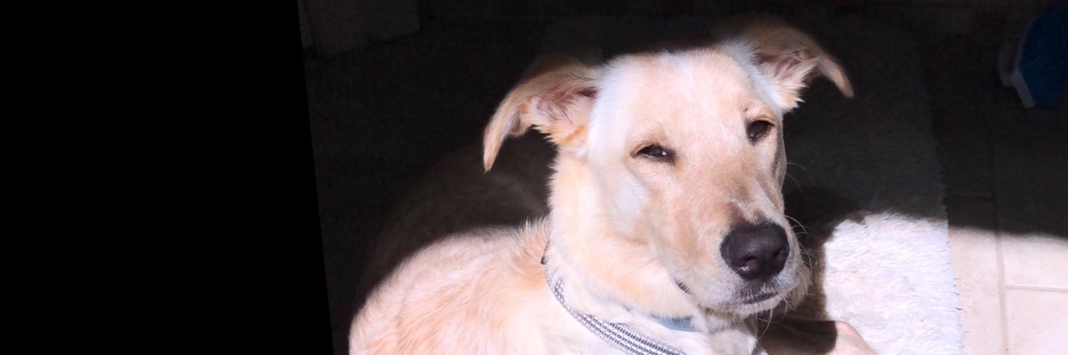 somermiller's profile banner image