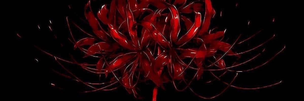 BakuHopee's profile banner image
