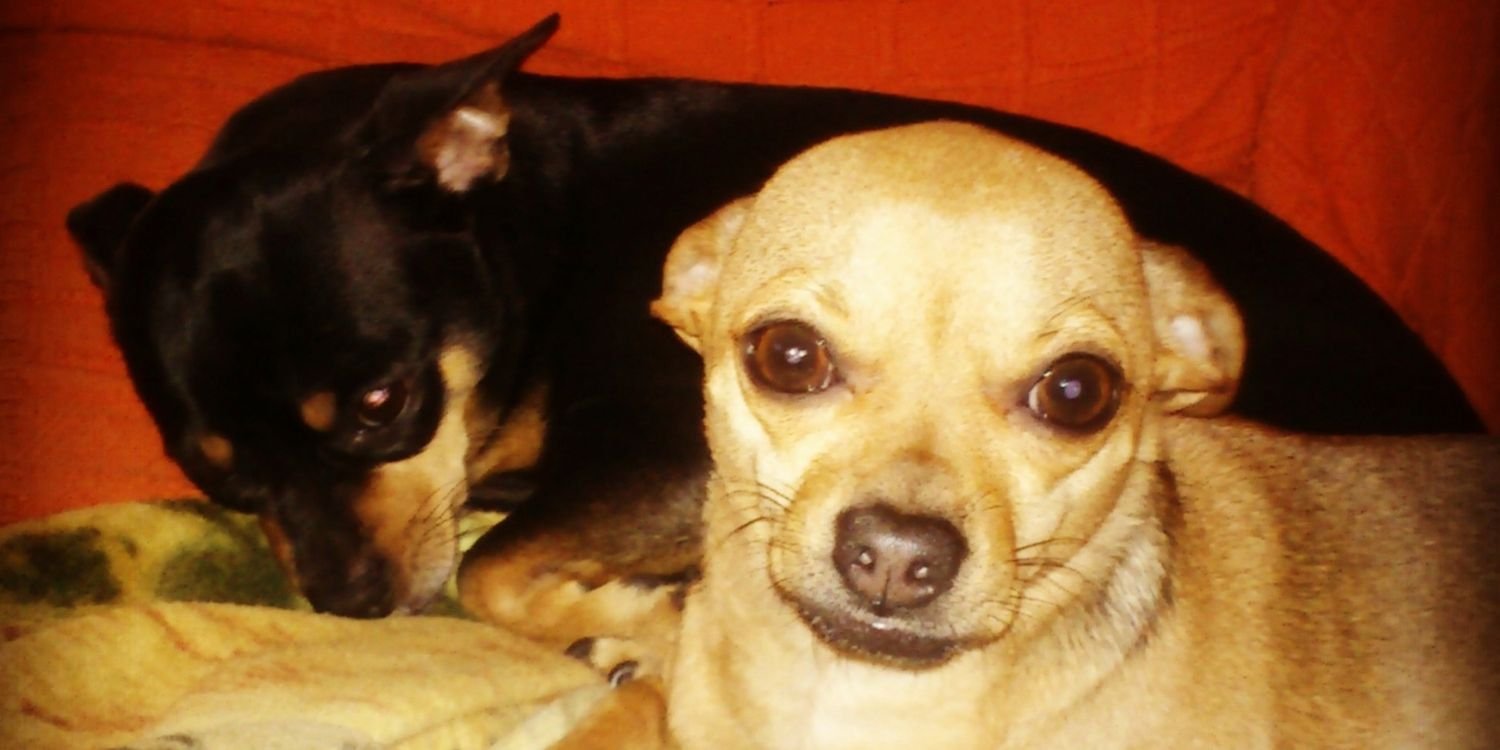 Inmagbru's profile banner image