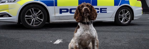 KW, PD Flo, PD Bryn & RPD Bart 🐾 banner