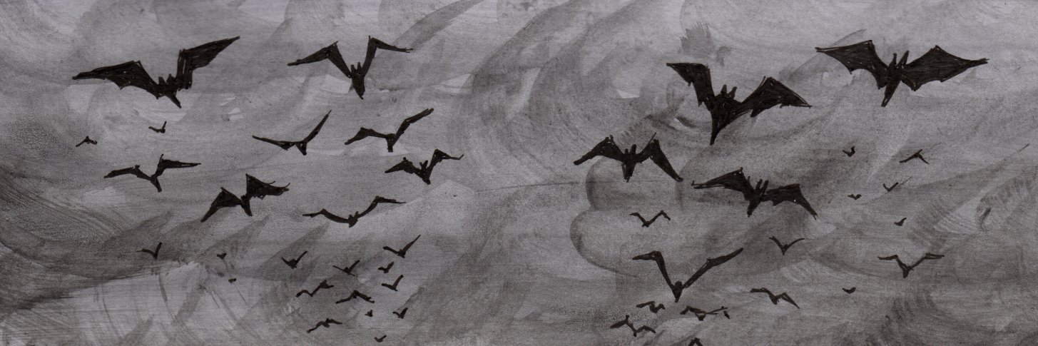 KevinNewburn's profile banner image