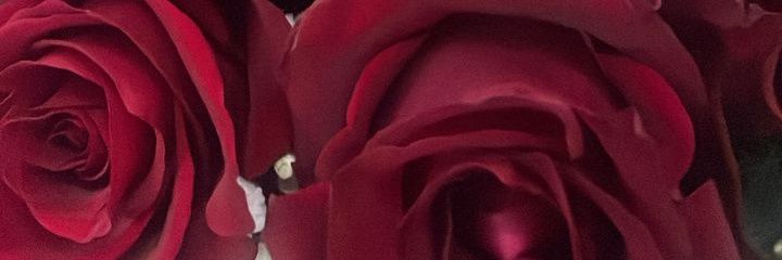 miratee_'s profile banner image