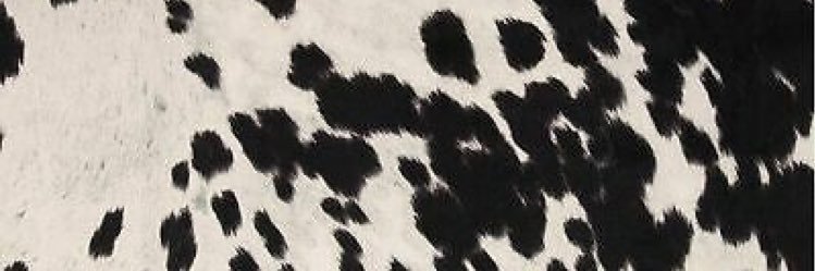 kelllynnnn's profile banner image