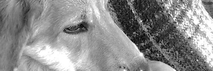 valeehatt's profile banner image