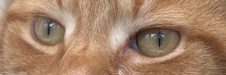 ricster35's profile banner image