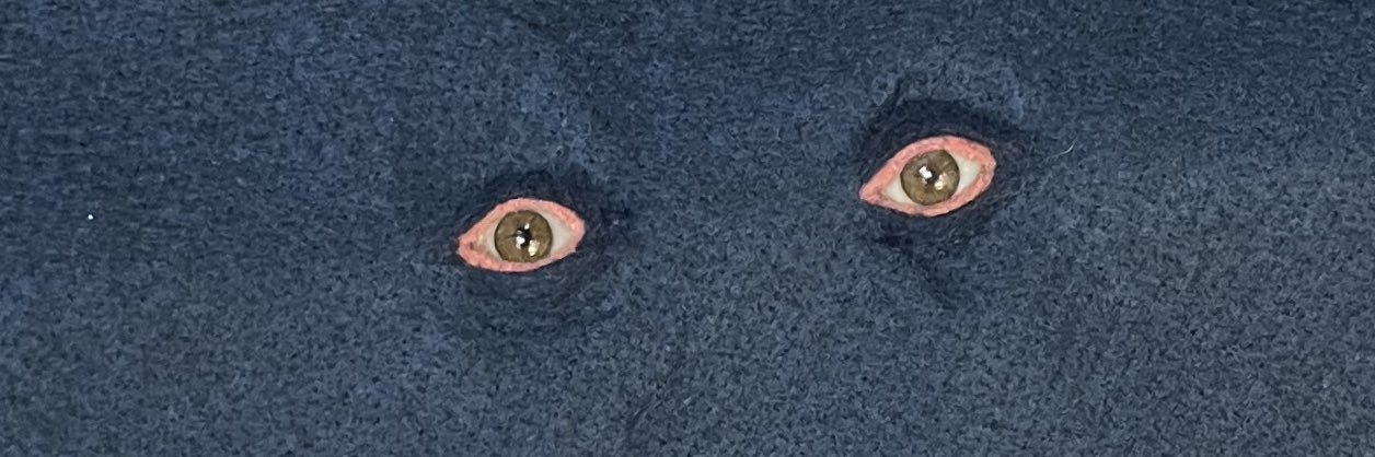 _sarantunes's profile banner image