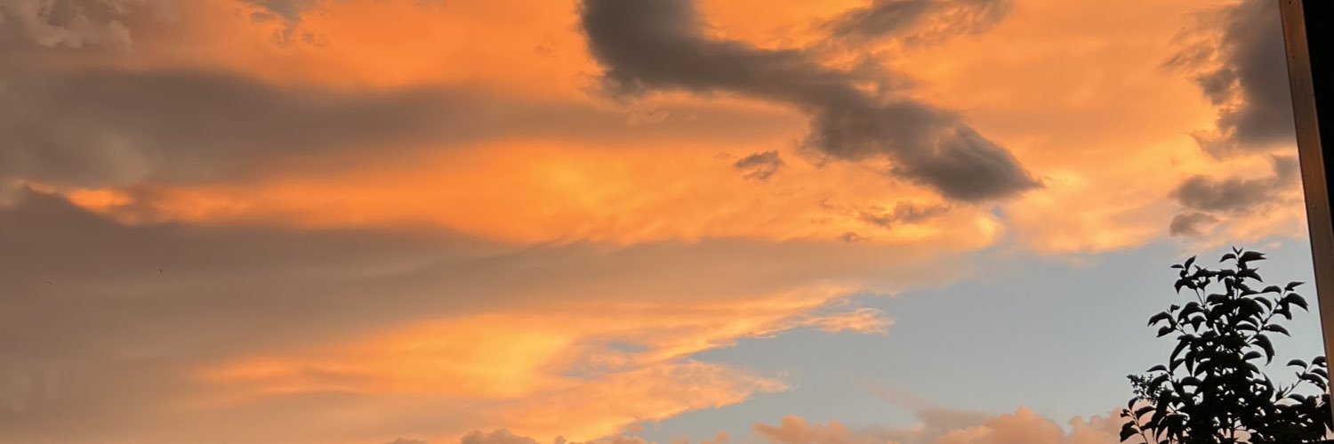 vickiponte13's profile banner image