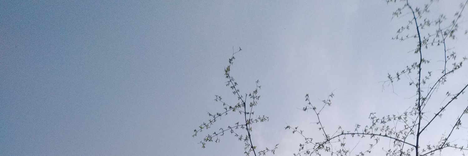 akv1990's profile banner image