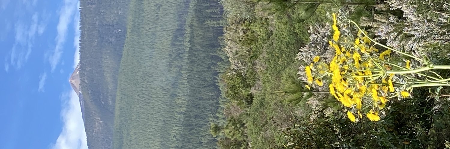 Chano Gutiérrez🍸 banner