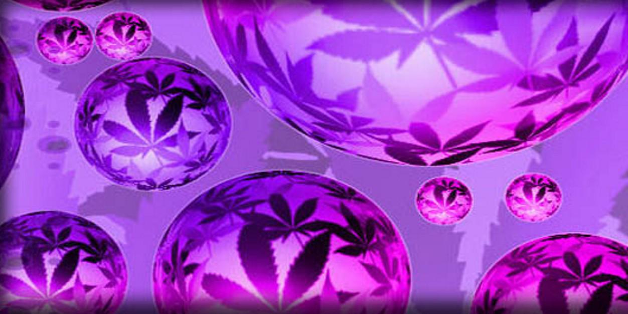 sarah_e0829's profile banner image