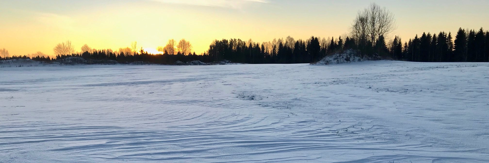 Jaakko Salminen banner