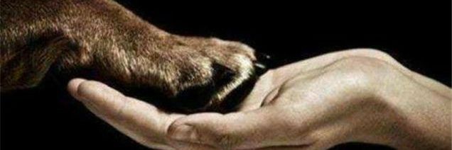 tamynemarques's profile banner image