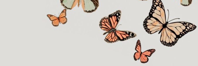 ll392ll's profile banner image