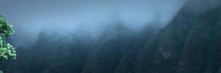 StrsdBearsFan's profile banner image