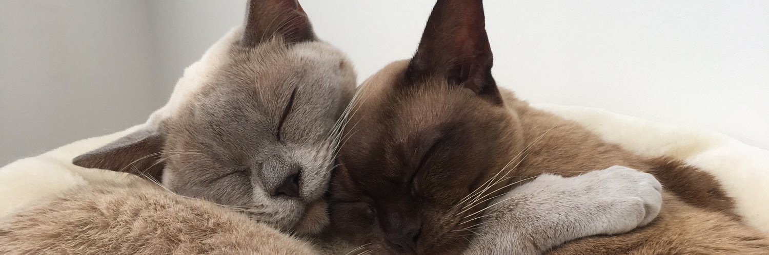 Fiona G 🇺🇦 banner