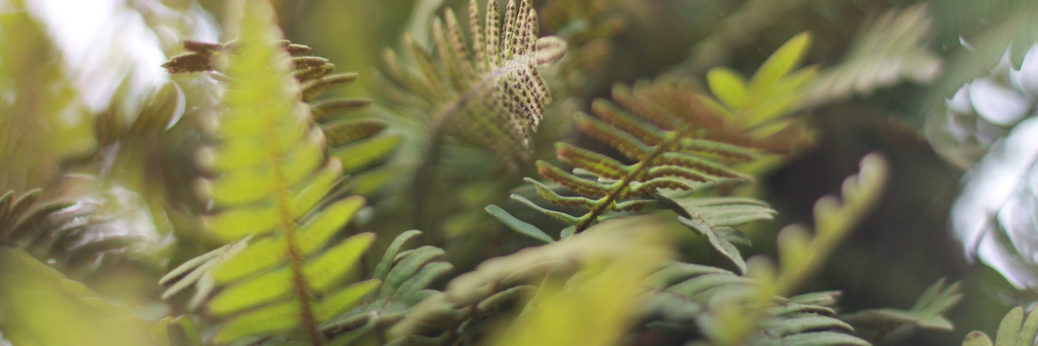 esMilagrosR's profile banner image