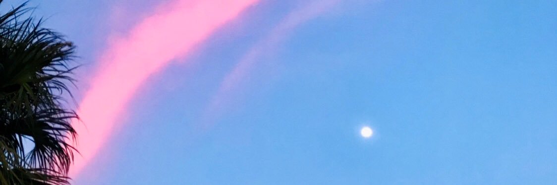 nikolah_k's profile banner image