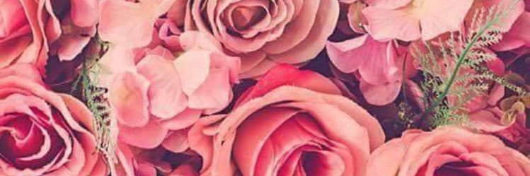 Caro banner