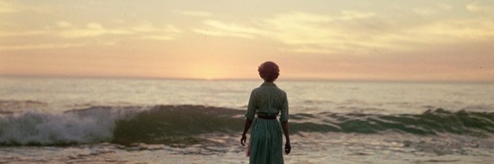 vicholly21's profile banner image