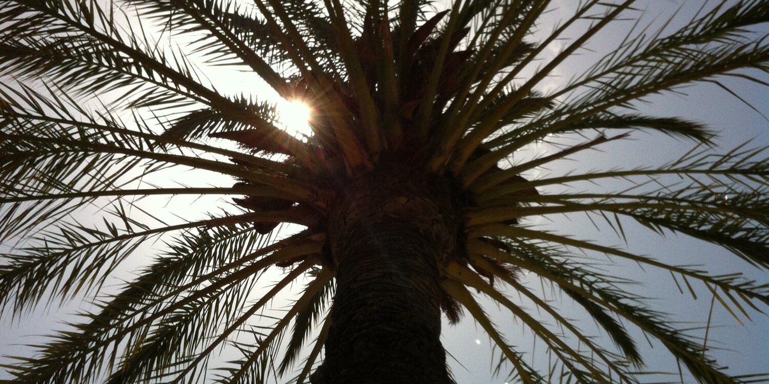 Pascal Somers banner