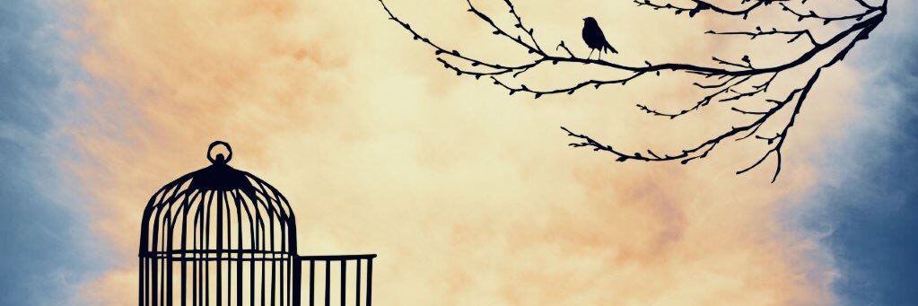 Sassenach banner