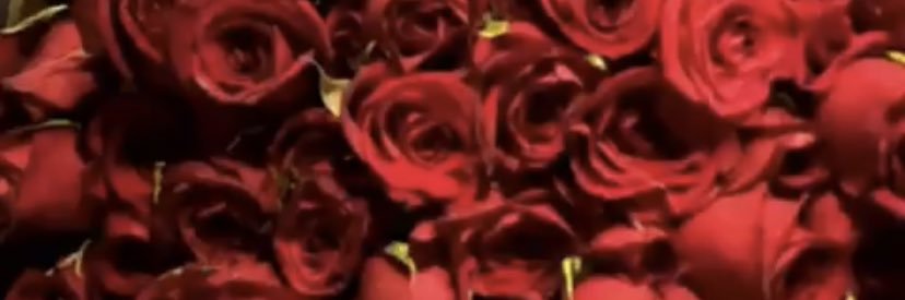 fernandaiturri1's profile banner image