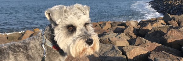 DrIanCollen Profile Banner