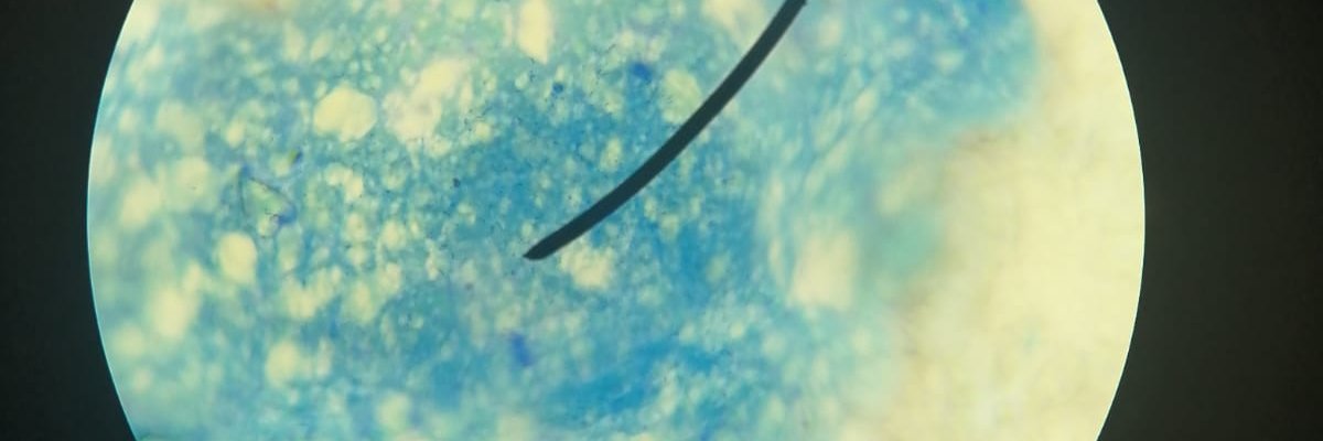 Mehmett_erbas's profile banner image