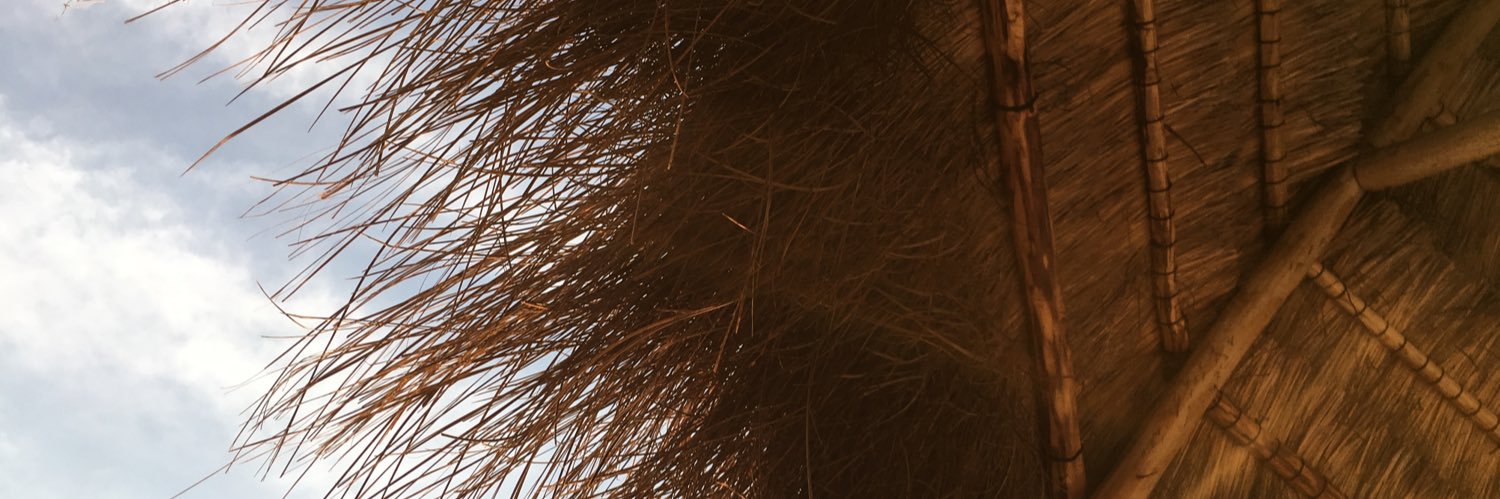MeliDuartee's profile banner image