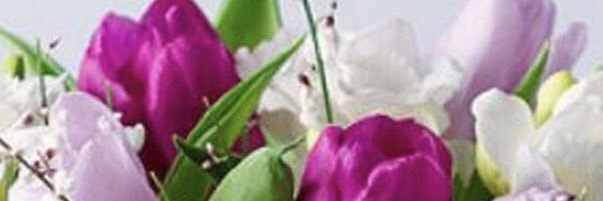 BarbaraTerrace's profile banner image