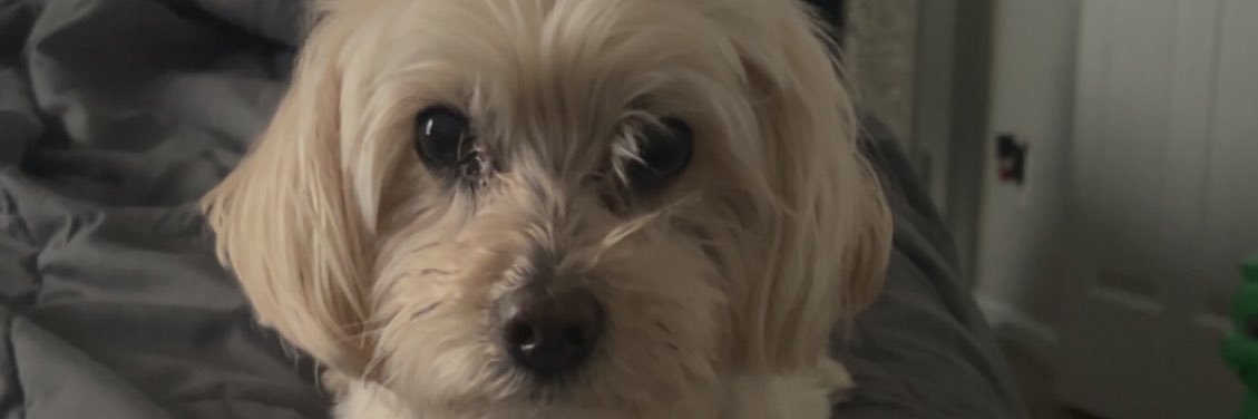 mianhenry's profile banner image