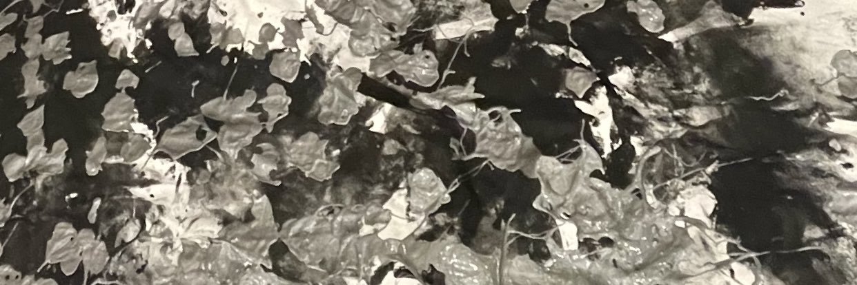 DerekVautrinot's profile banner image