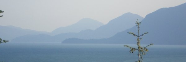 Fabrically_Fine Profile Banner