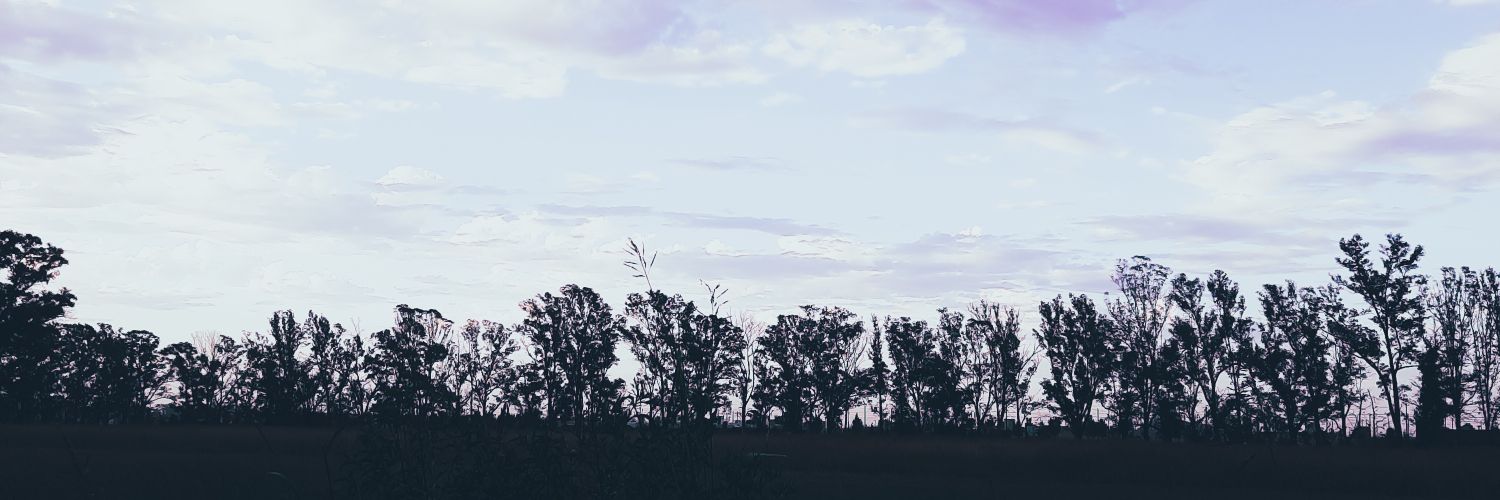 01Alu's profile banner image