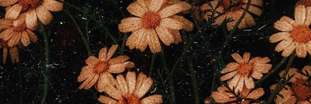 Vegaaa___'s profile banner image