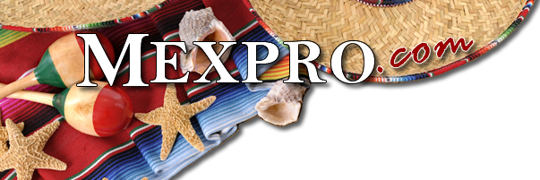 MexicoInsurance's profile banner image