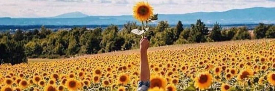 khaarl_'s profile banner image