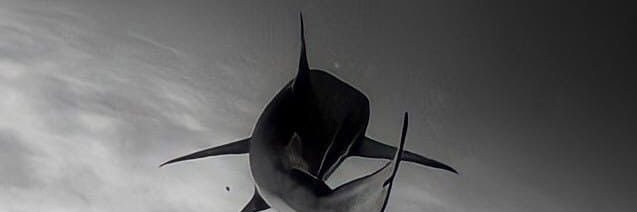 OlivetoAlan's profile banner image