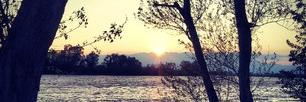 BruTrives's profile banner image
