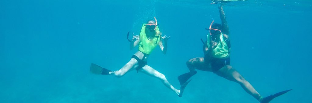 SydneyPrawler's profile banner image