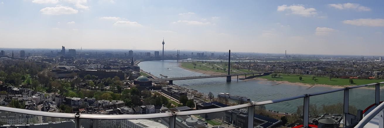 Mathew Rutter banner