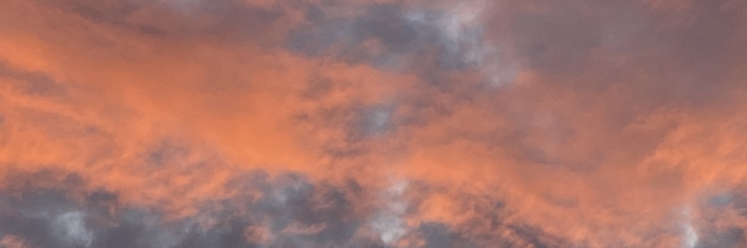 luz2101's profile banner image