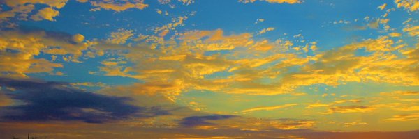 ph_helenwatson Profile Banner