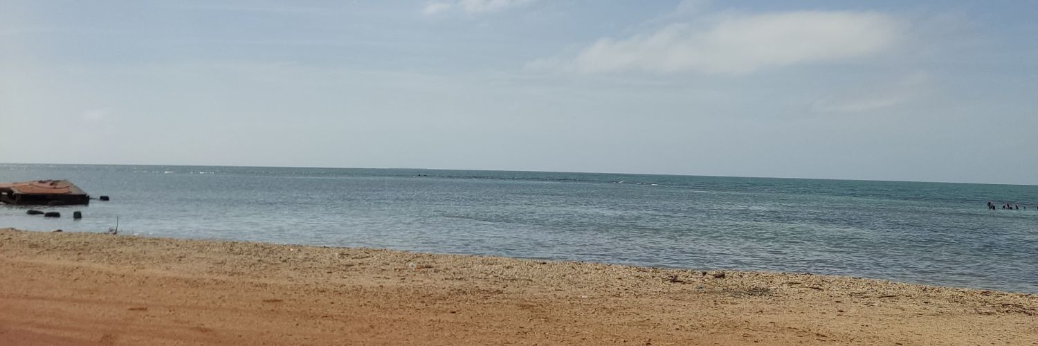 Gabrielwp13's profile banner image