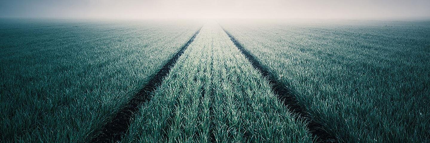 Andy Grunwald banner